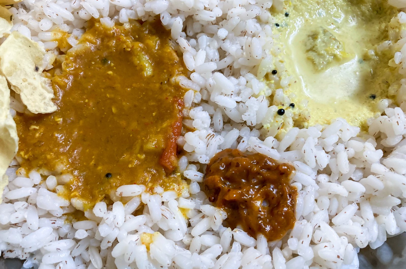 Parcel meals from vasantha bhavan, kazhakuttom